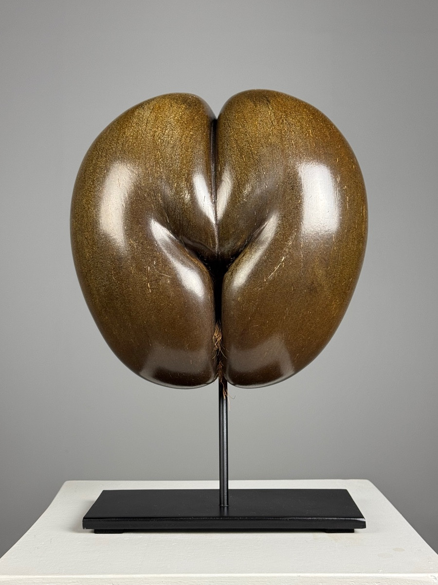 Polished Sea Coconut