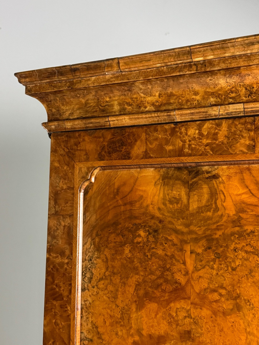 English Burr Walnut Bookcase, 19th Century-photo-4