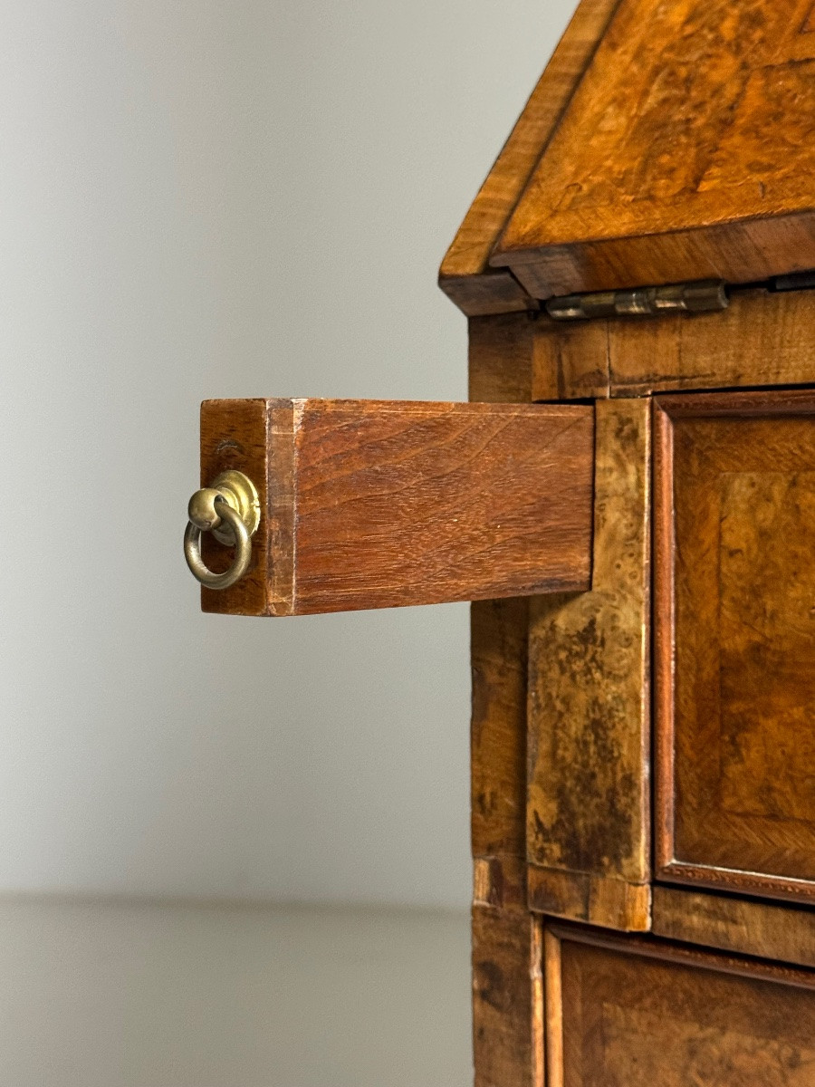 English Burr Walnut Bookcase, 19th Century-photo-1