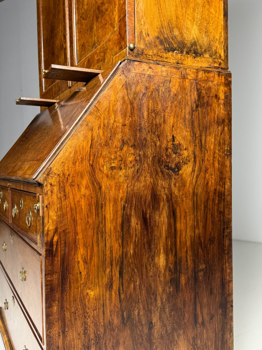 English Burr Walnut Bookcase, 19th Century-photo-3