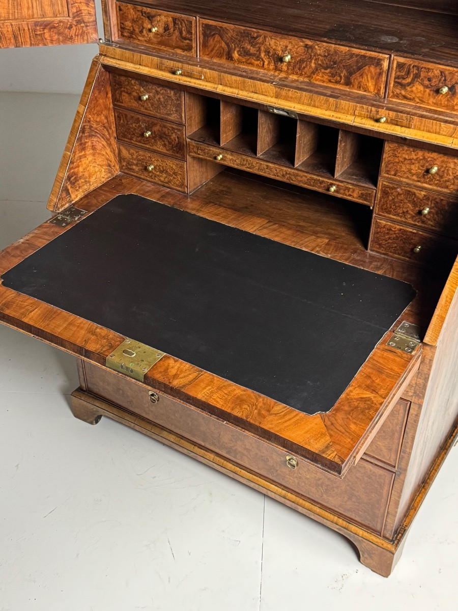 English Burr Walnut Bookcase, 19th Century-photo-4