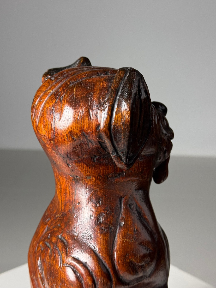 Saint Rocco Dog Of Venice, 18th Century-photo-3