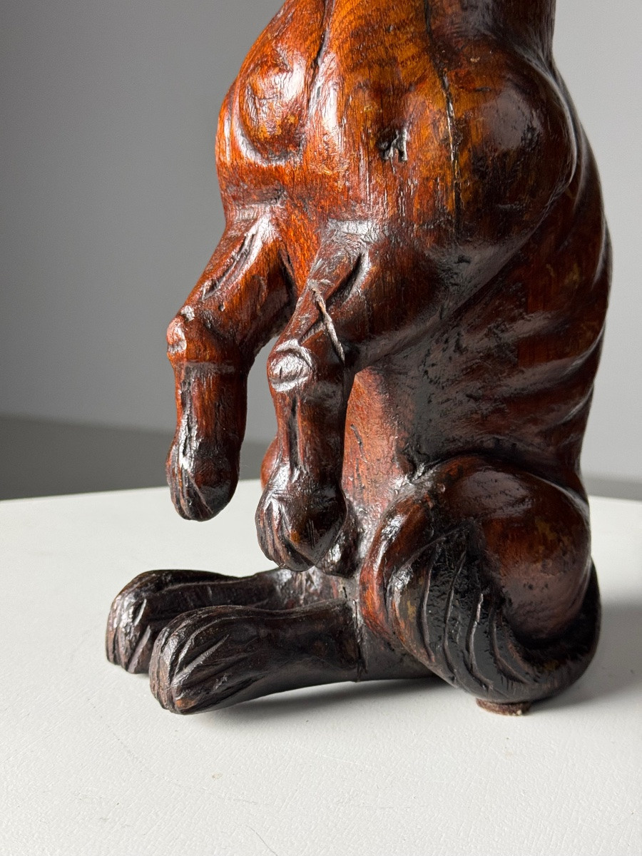 Saint Rocco Dog Of Venice, 18th Century-photo-2