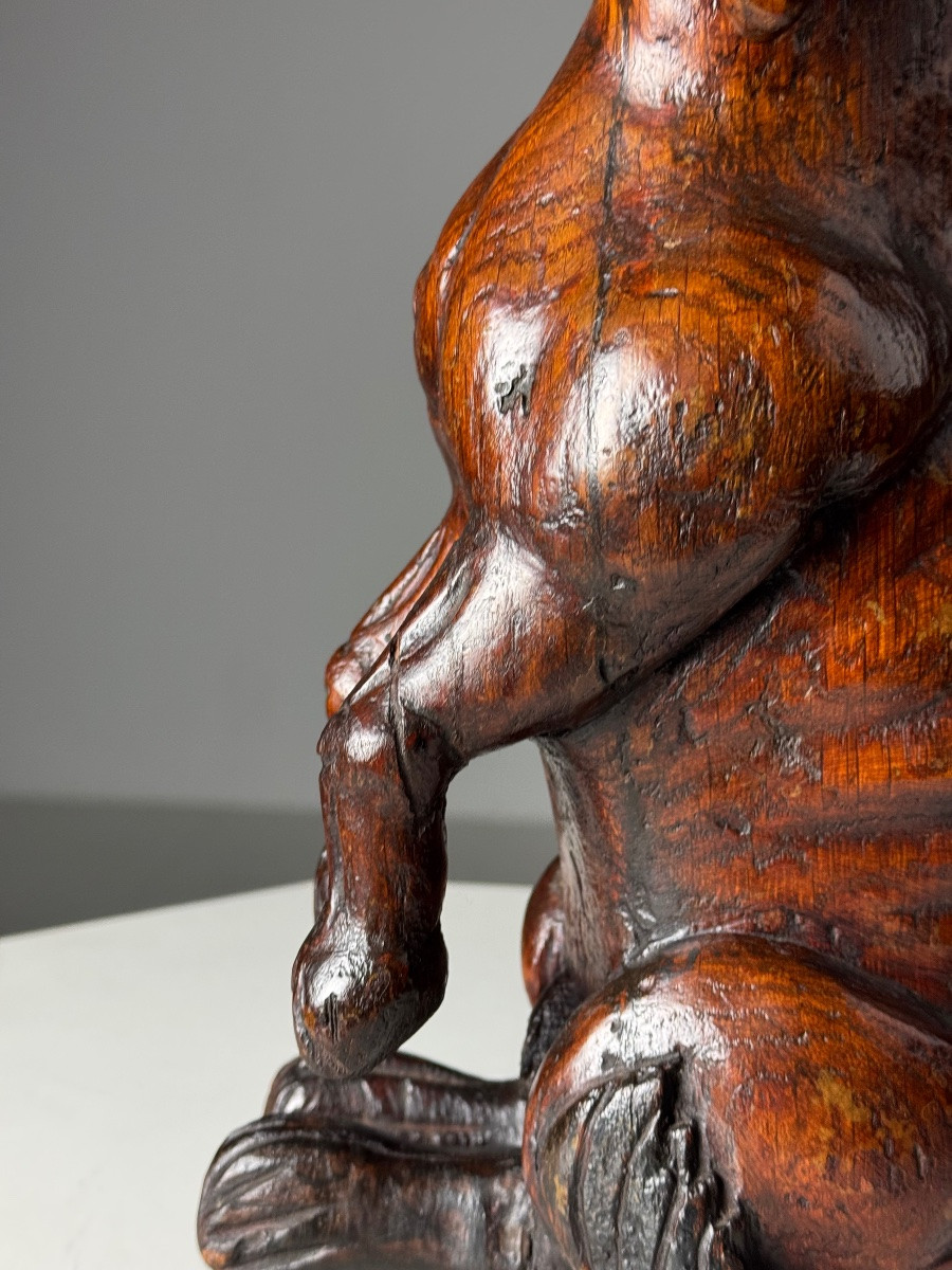 Saint Rocco Dog Of Venice, 18th Century-photo-5