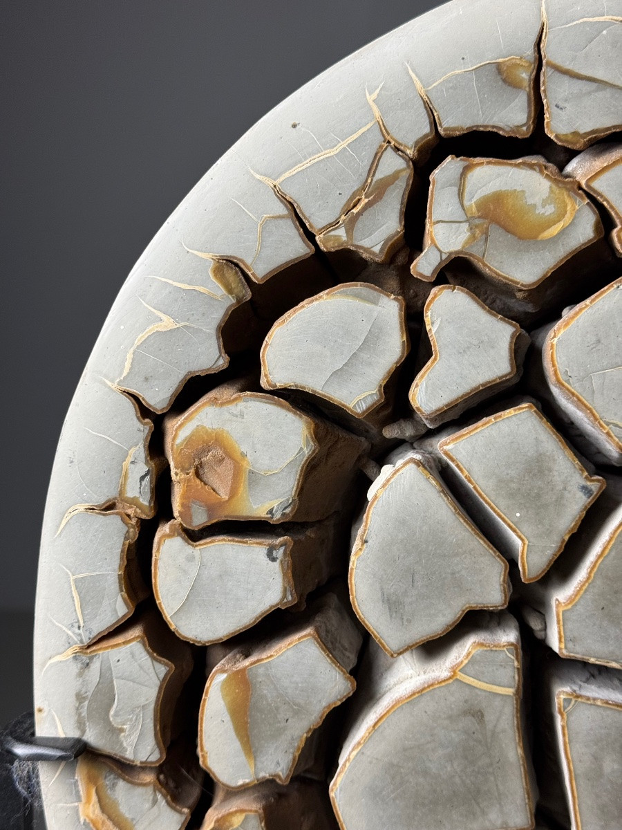 Septarian Nodule On Foot-photo-2