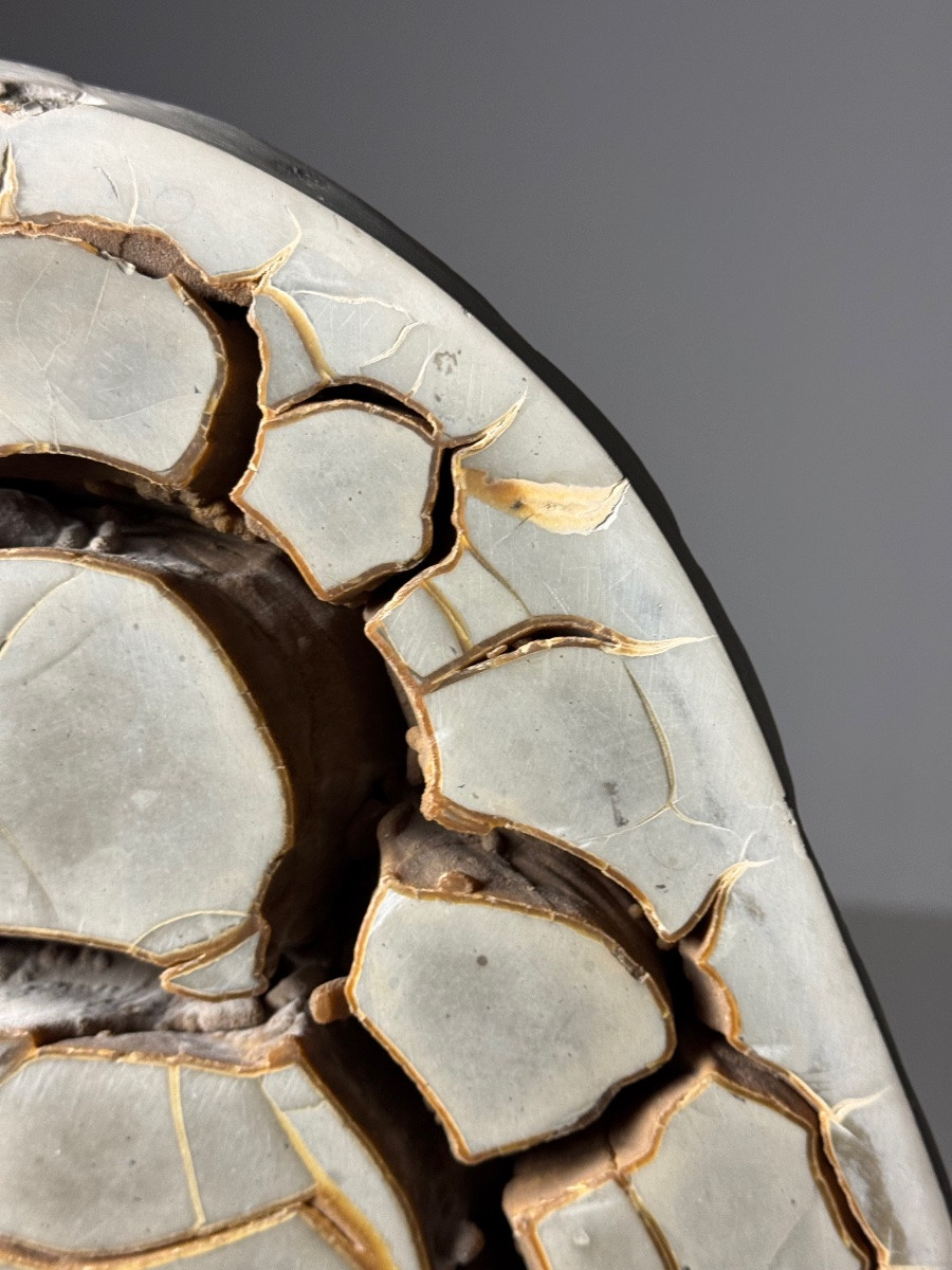 Septarian Nodule On Foot-photo-1