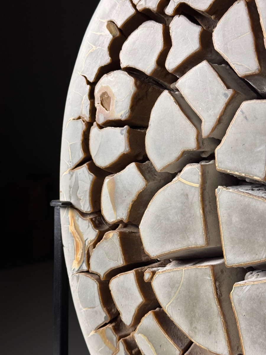 Septarian Nodule On Foot-photo-4