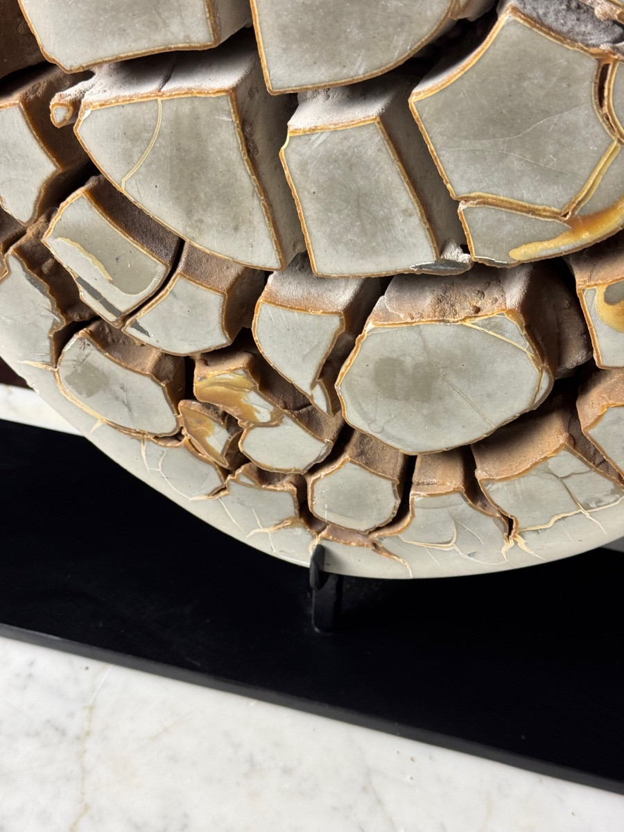 Septarian Nodule On Foot-photo-8