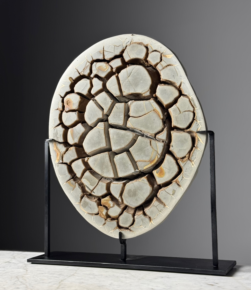 Septarian Nodule On Foot