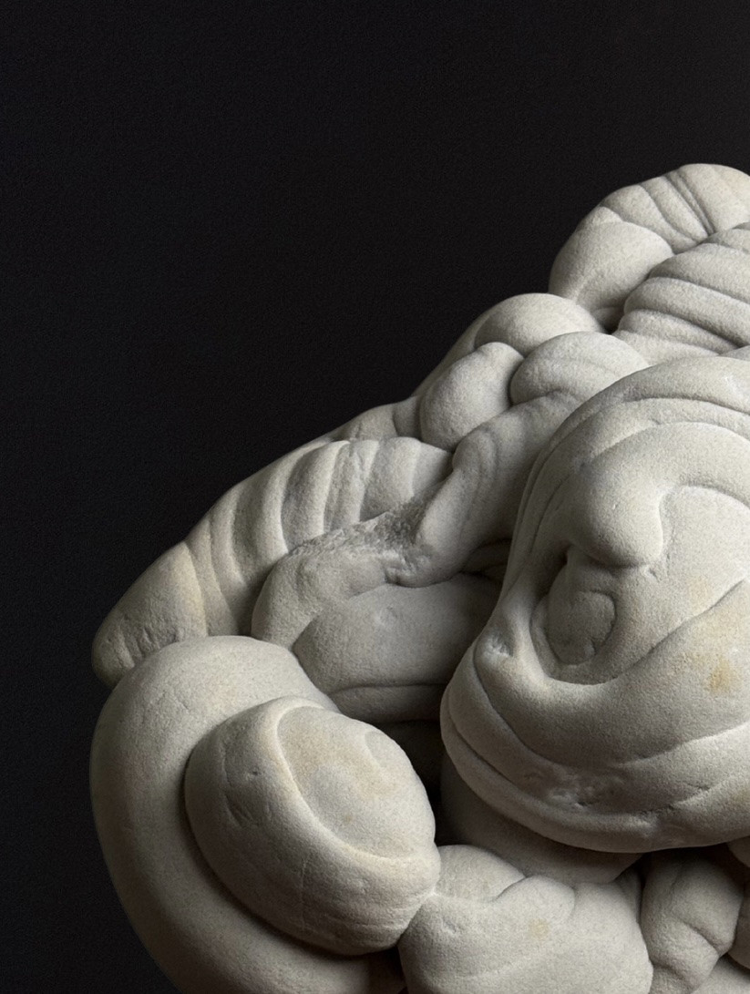 Gogotte De Fontainebleau-photo-7