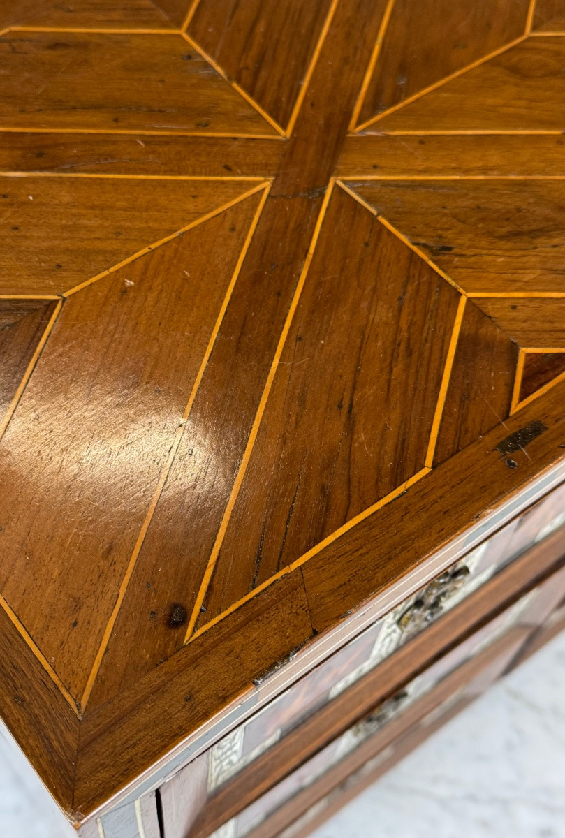 19th Century Art Cabinet In Wood Marquetry-photo-7