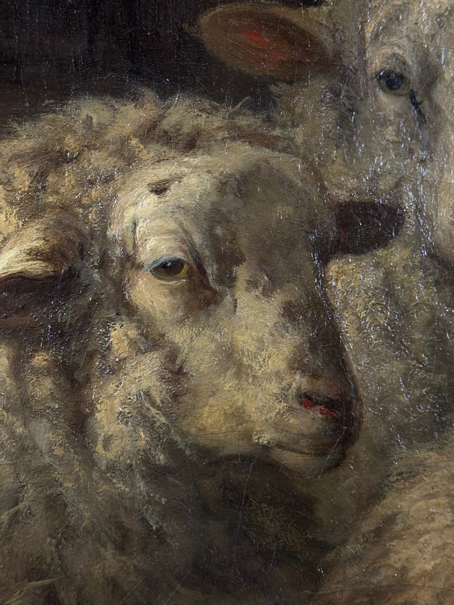 Calm In The Stable-photo-3