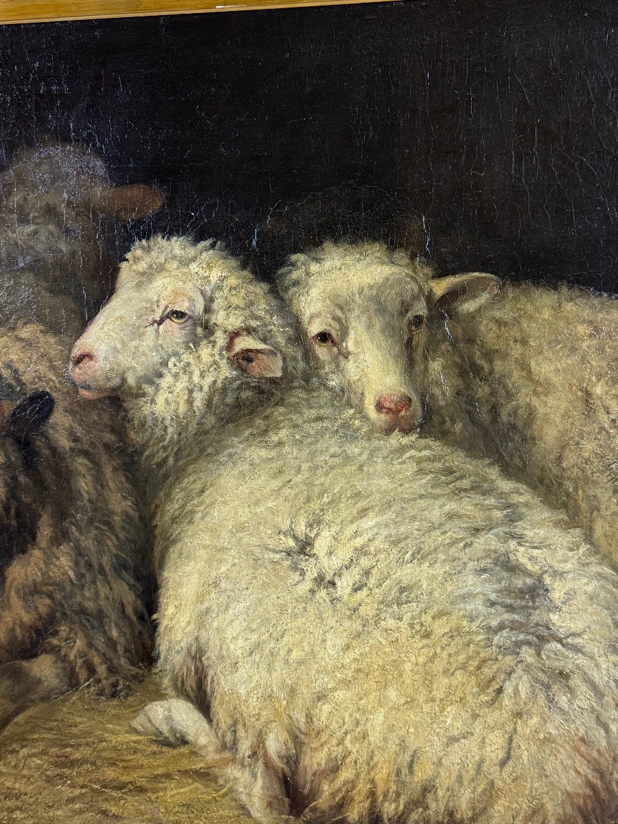 Calm In The Stable-photo-1