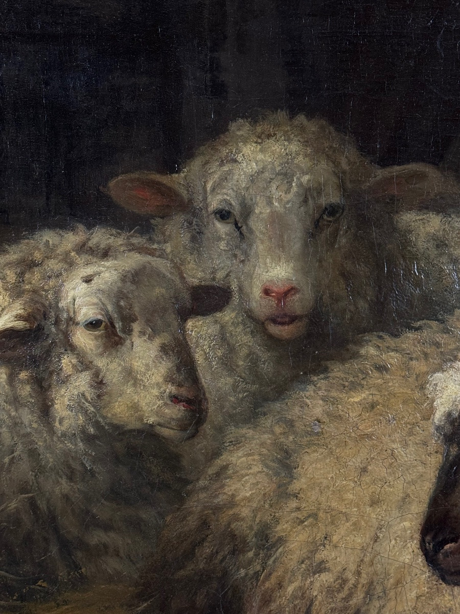 Calm In The Stable-photo-3