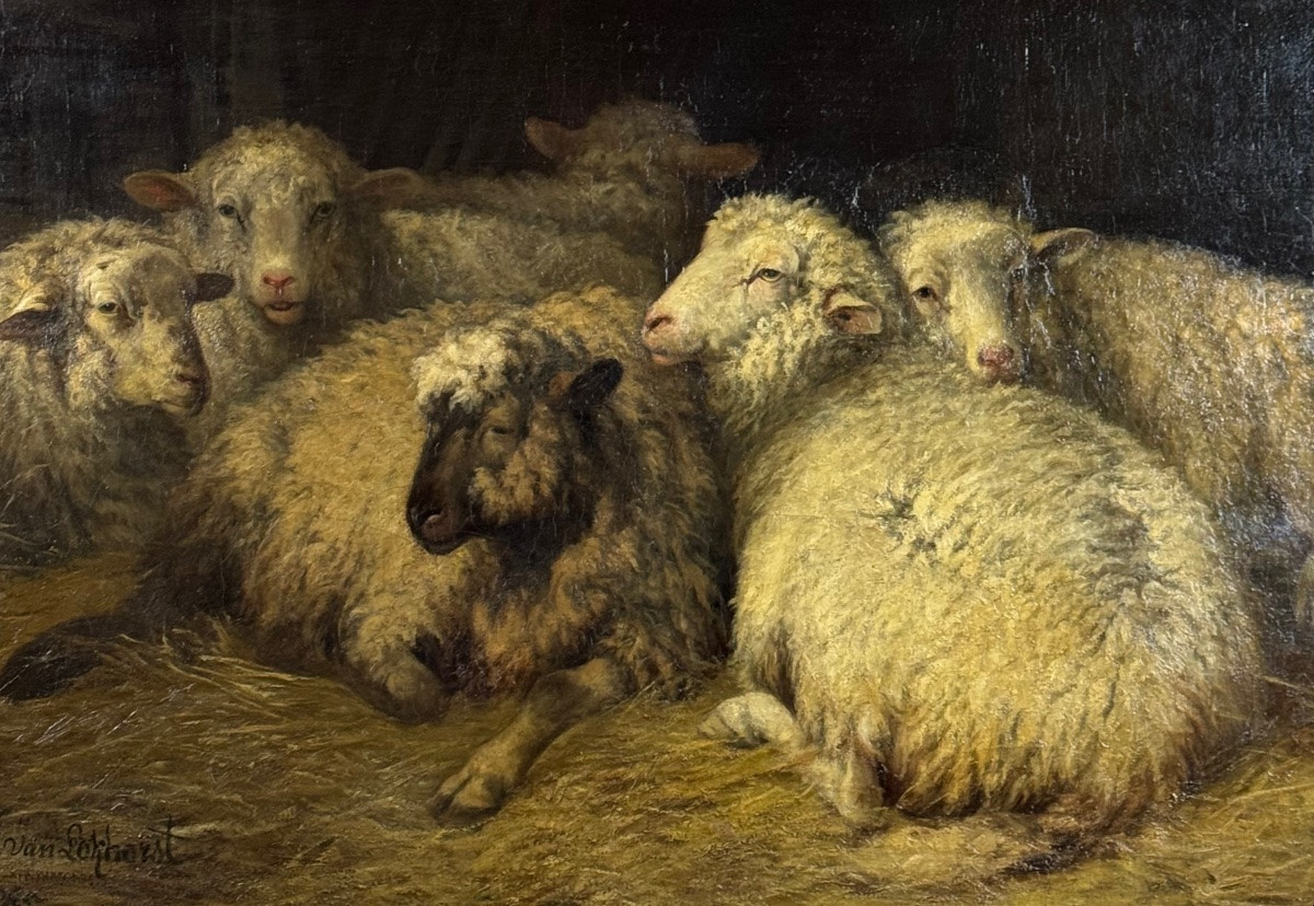 Calm In The Stable-photo-4