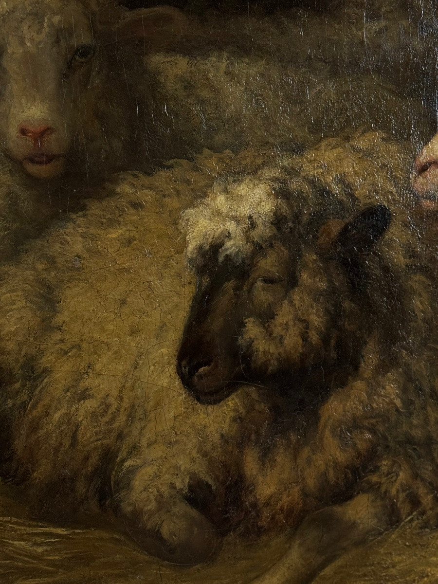 Calm In The Stable-photo-8