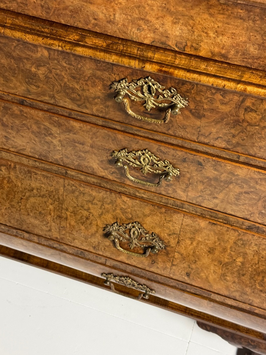 Cabinet hollandais, vers 1780, noyer-photo-5