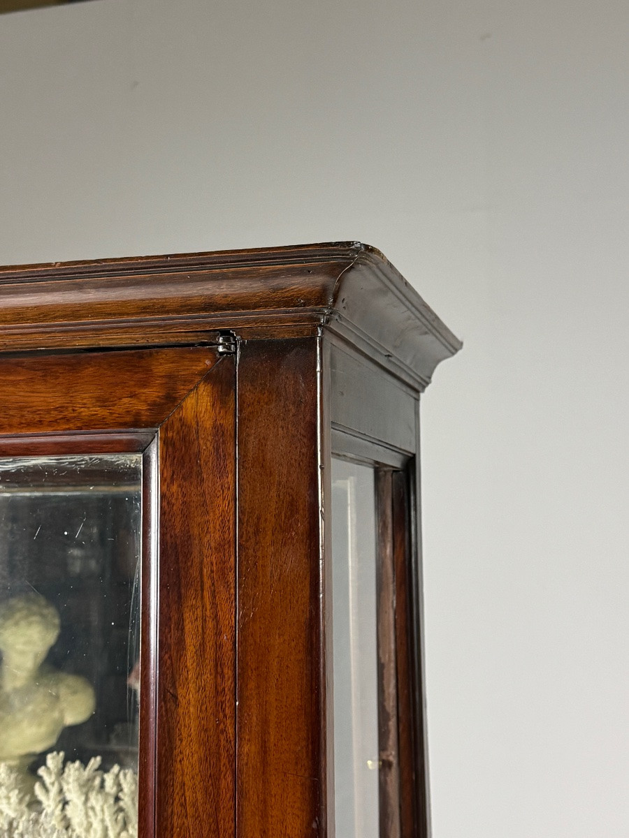 Lot de 2 vitrines en acajou du XIXe siècle-photo-5