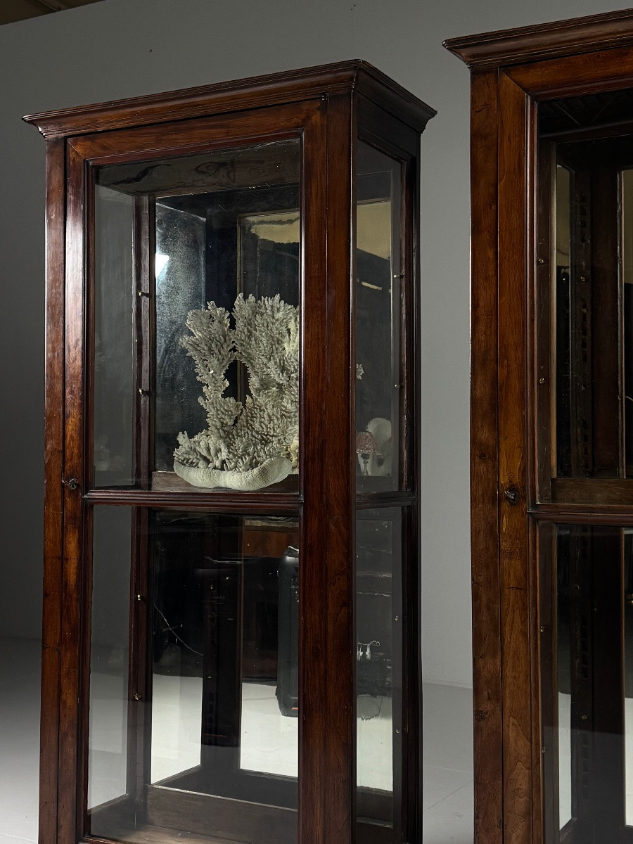 Lot de 2 vitrines en acajou du XIXe siècle-photo-7