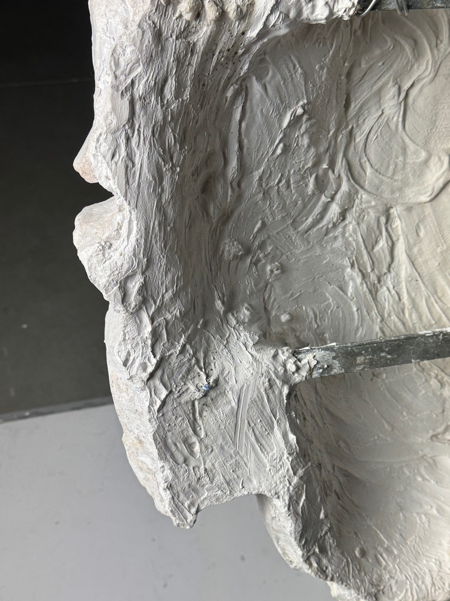 Tête gigantesque de Zeus, XXe siècle, plâtre-photo-7