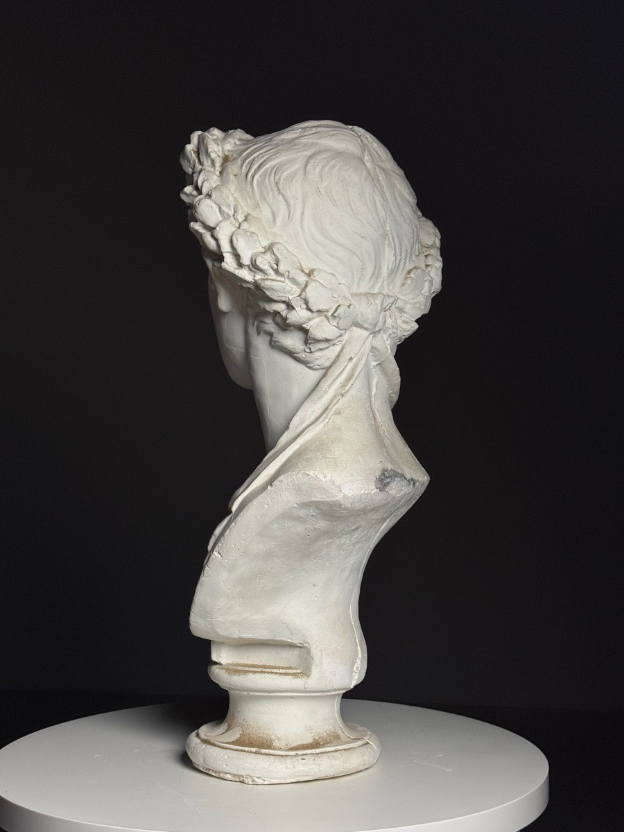 Buste en plâtre de l'empereur Auguste -photo-8