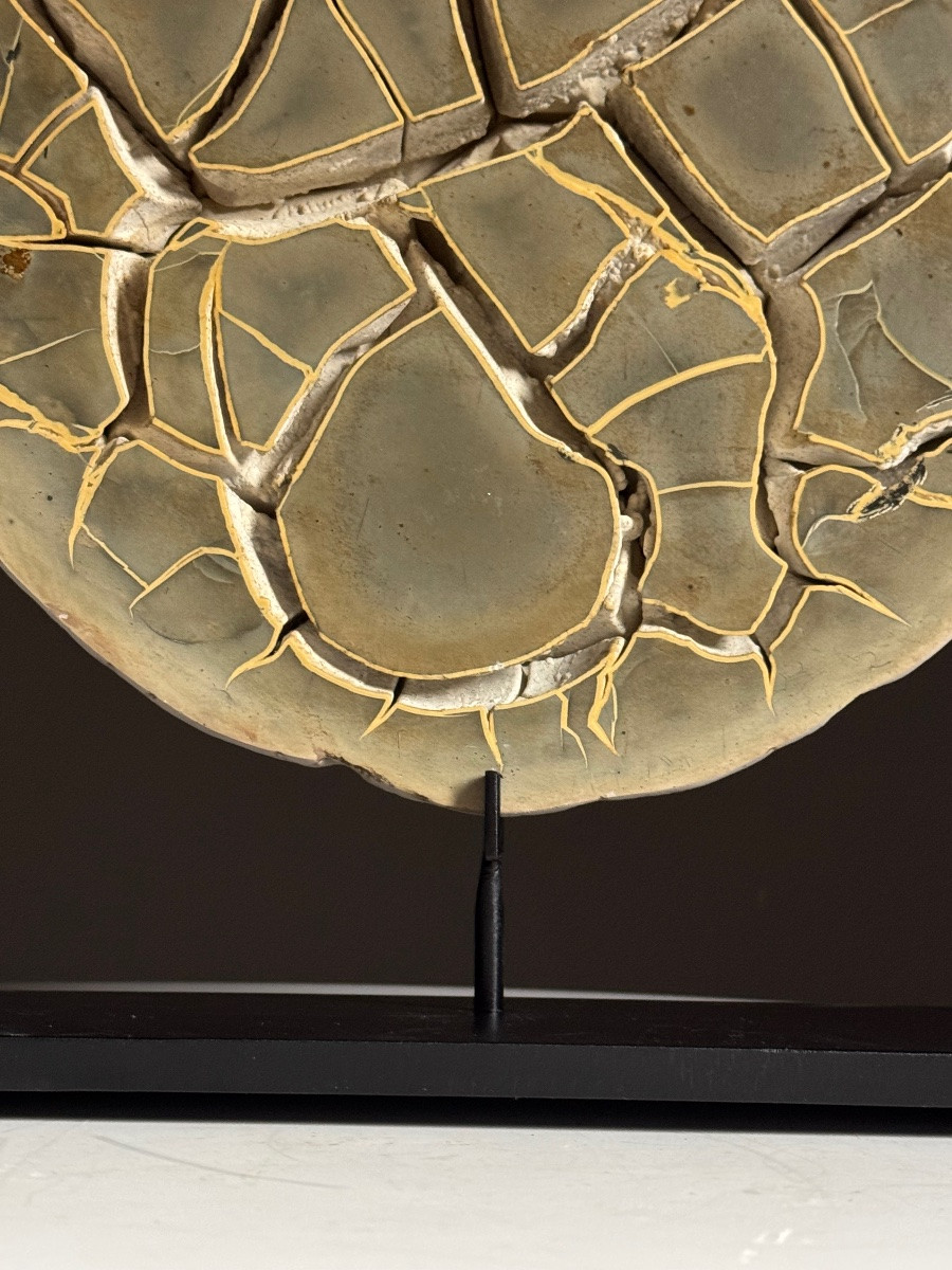 Nodule de Septaria sur socle-photo-2