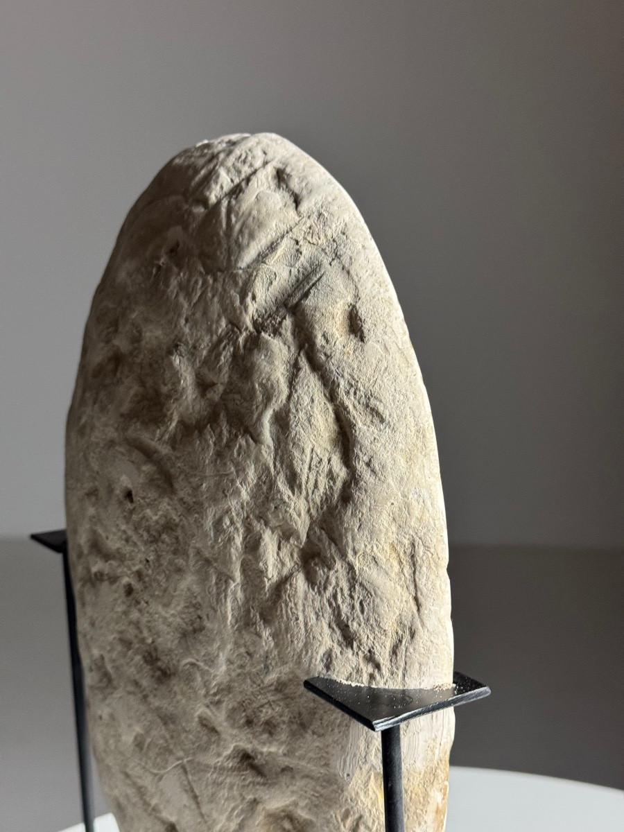 Nodule de Septaria sur socle-photo-2