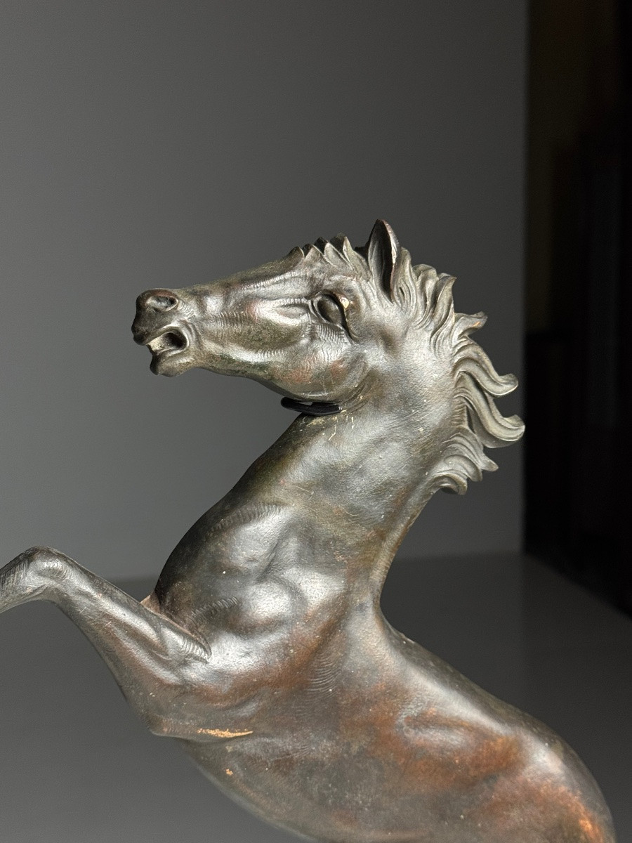 Set Of 2 Bronze Seahorses-photo-4
