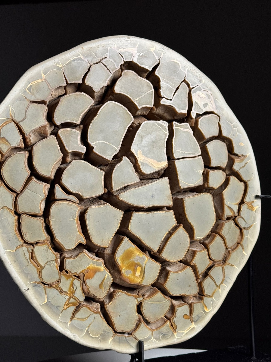 Septaria Nodule On Base-photo-2