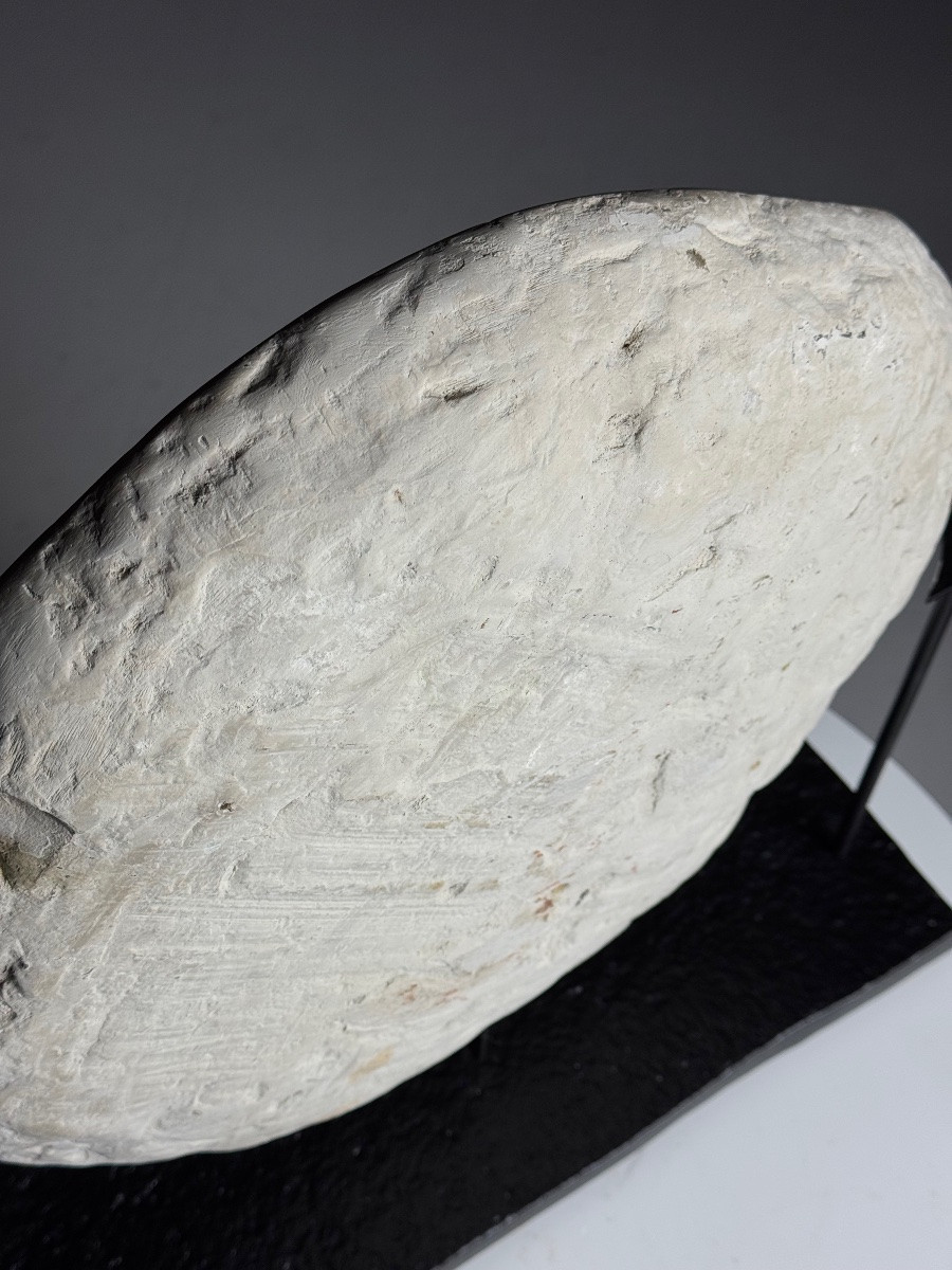Septaria Nodule On Base-photo-7