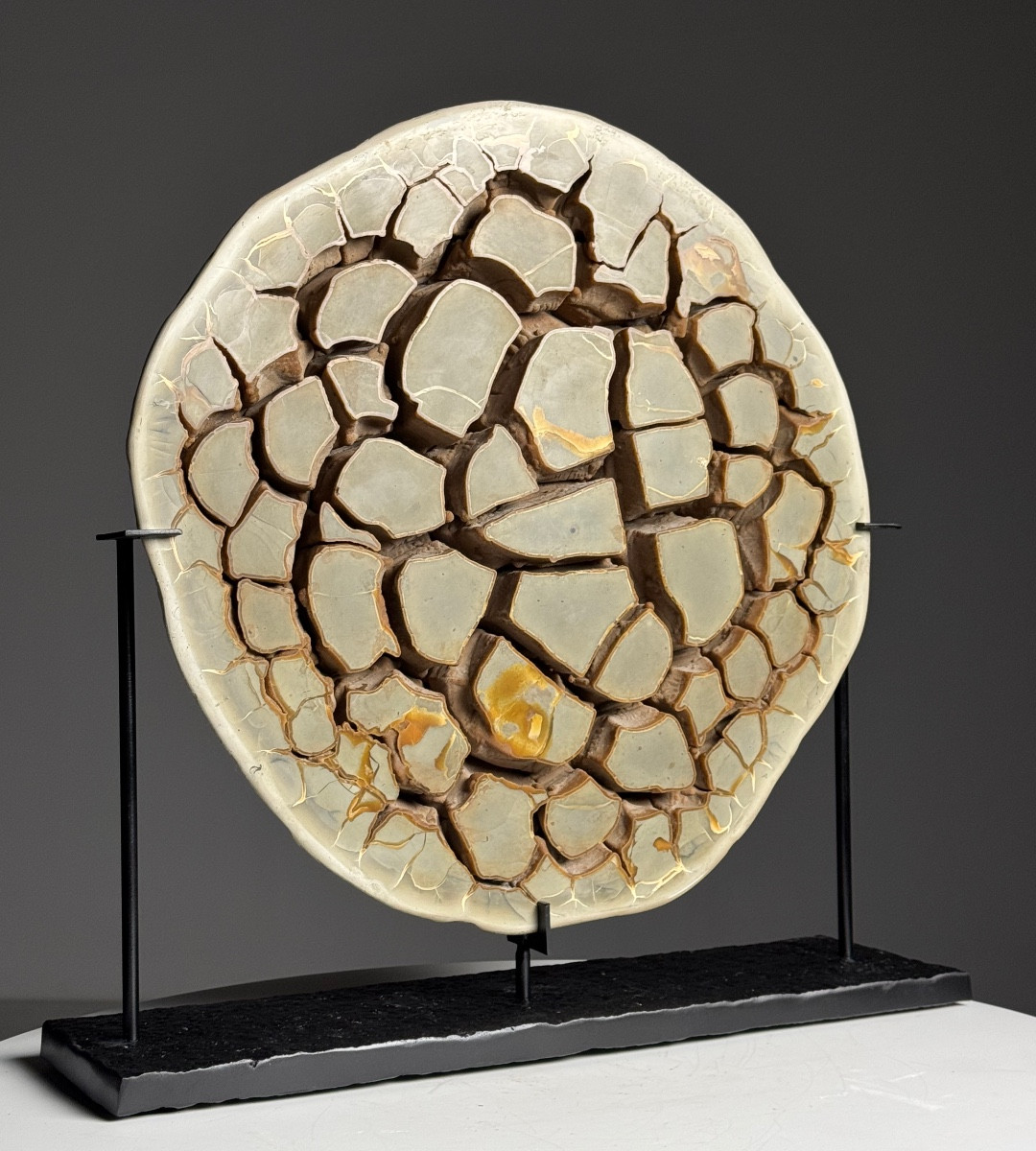 Septaria Nodule On Base