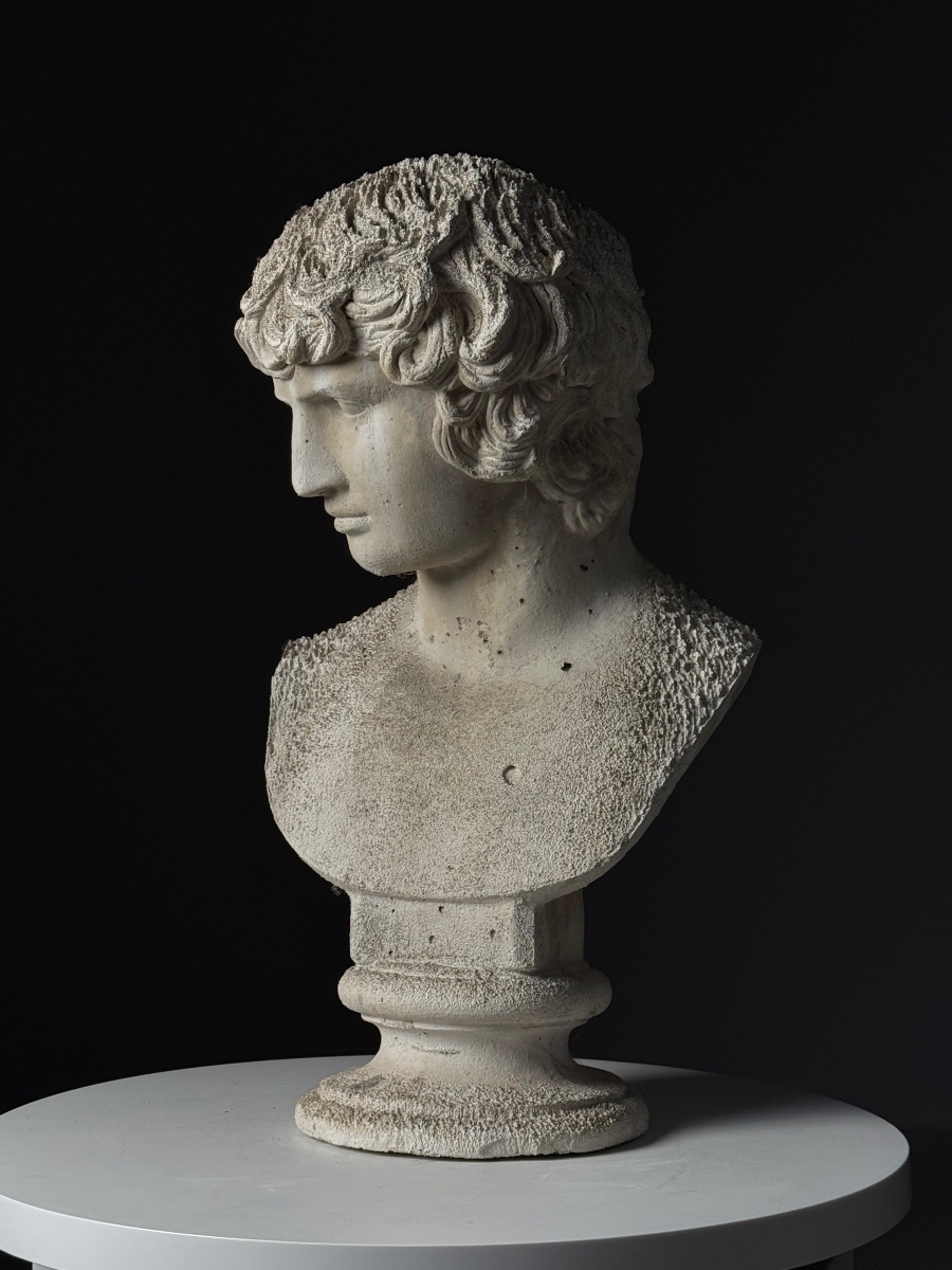 Buste d'Antinoüs en plâtre