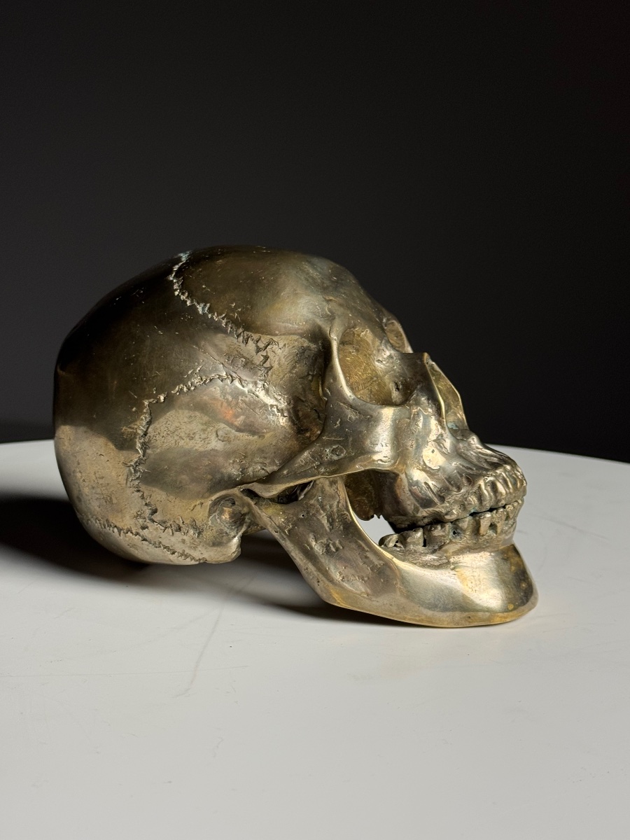 Bronze Skull, Early 20th Century-photo-4