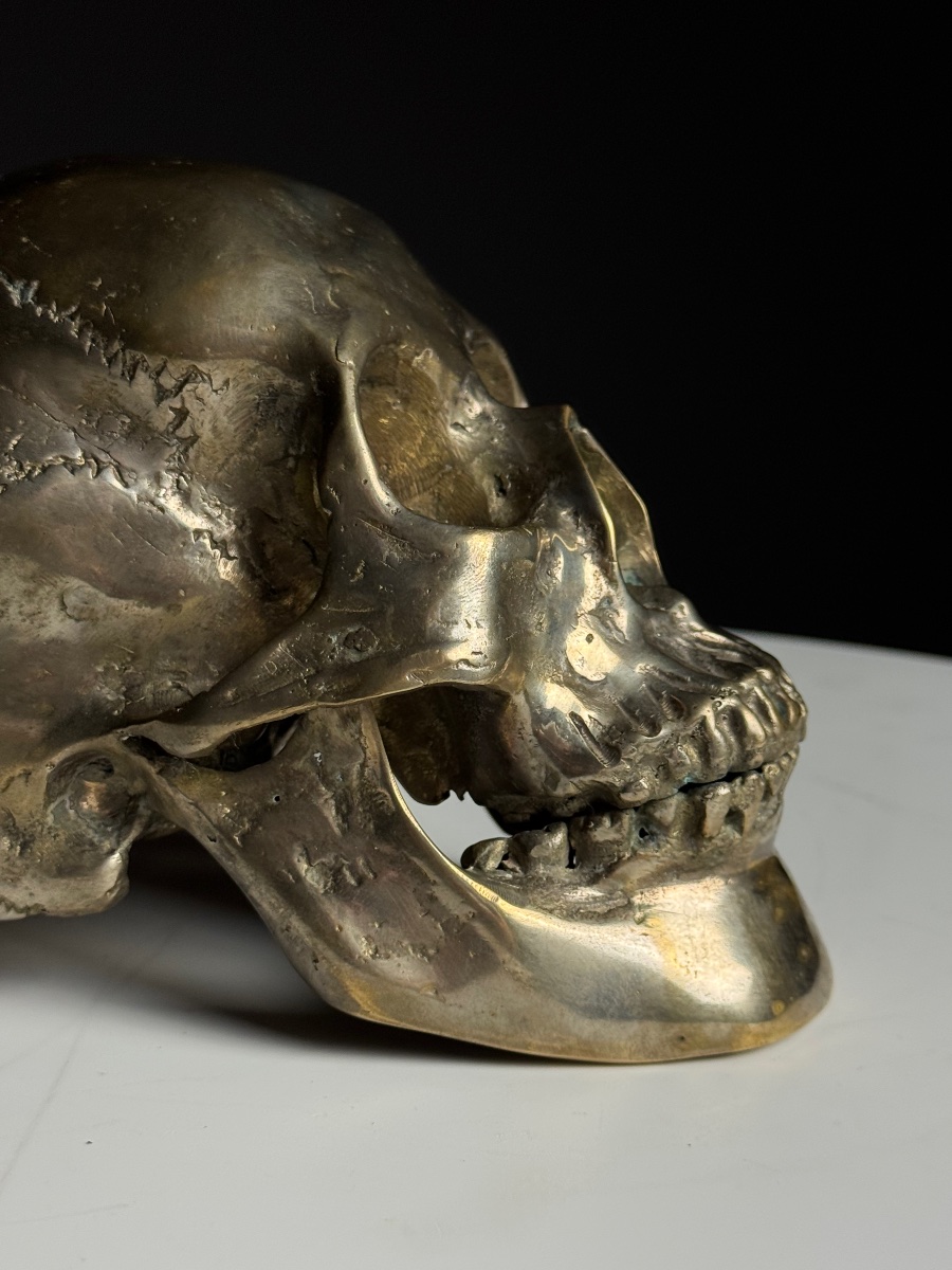 Bronze Skull, Early 20th Century-photo-2