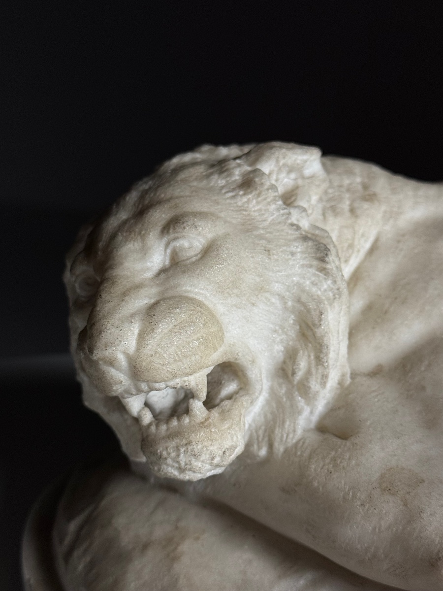 Statue en marbre moulé représentant un lion couché -photo-3