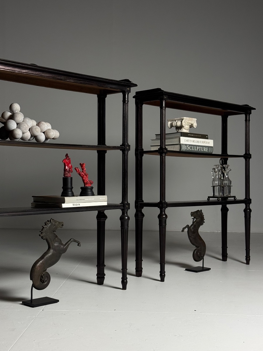 Lot de 2 étagères de style Louis XVI-photo-2