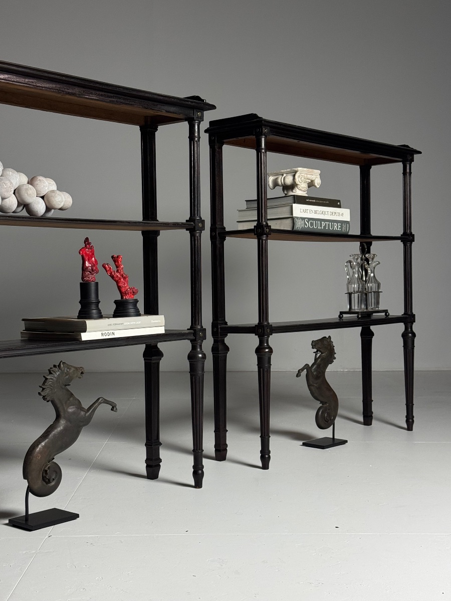 Lot de 2 étagères de style Louis XVI-photo-4