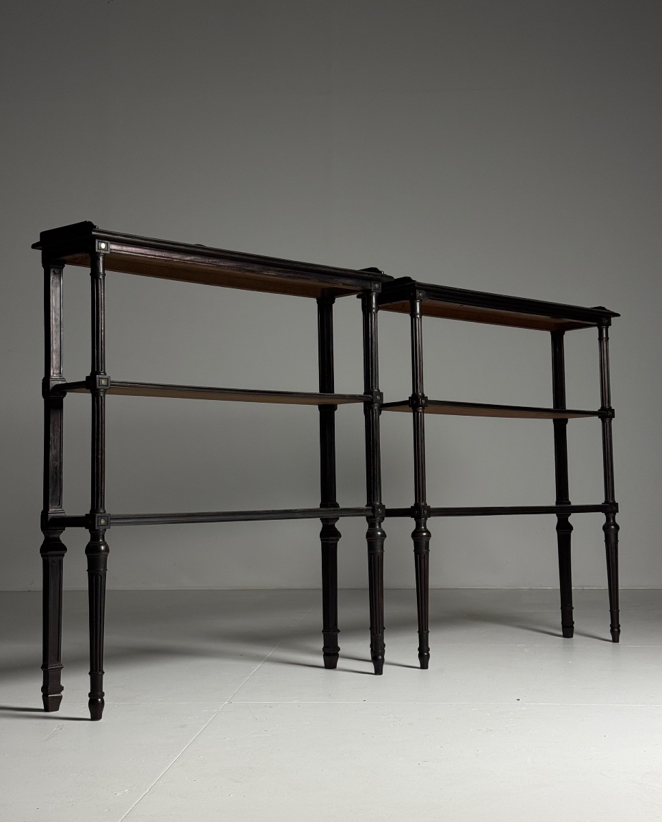Lot de 2 étagères de style Louis XVI-photo-6