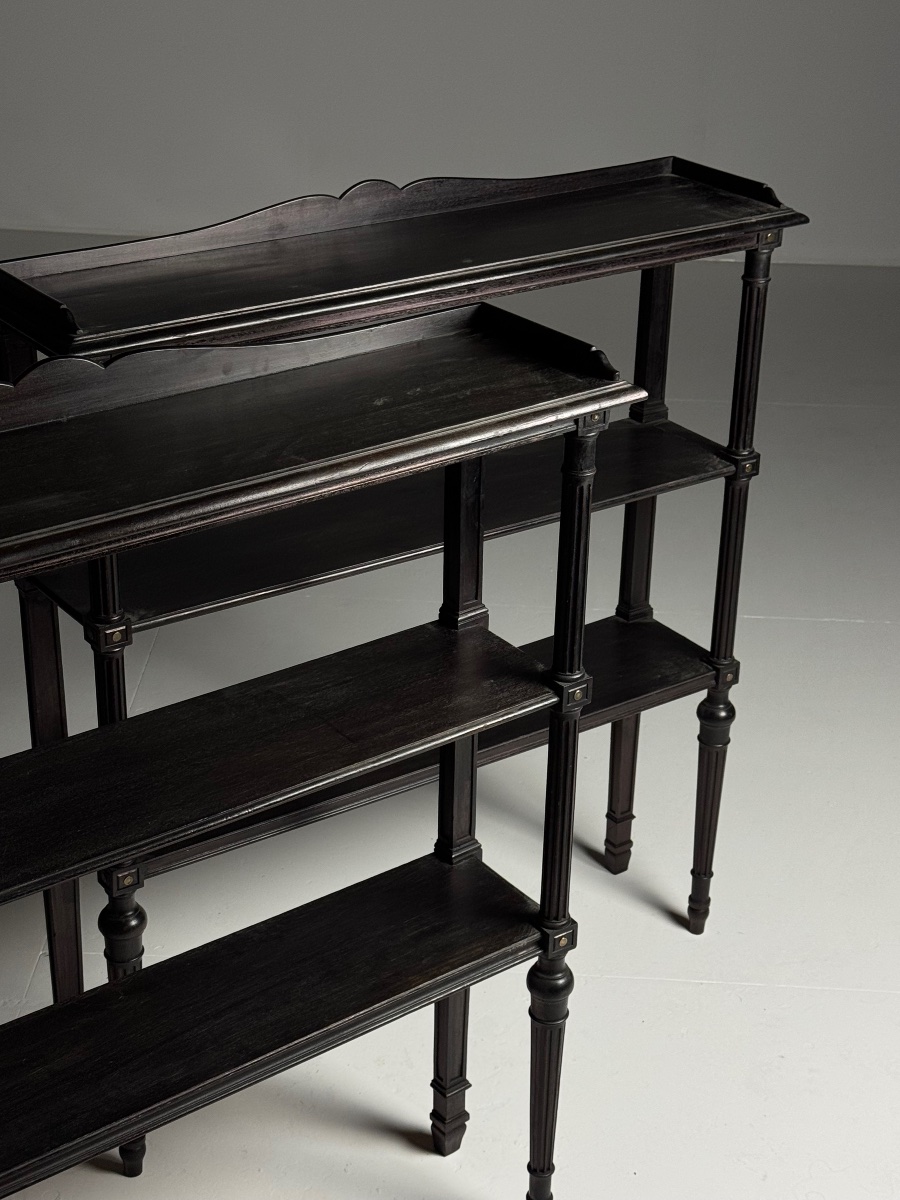 Lot de 2 étagères de style Louis XVI-photo-7
