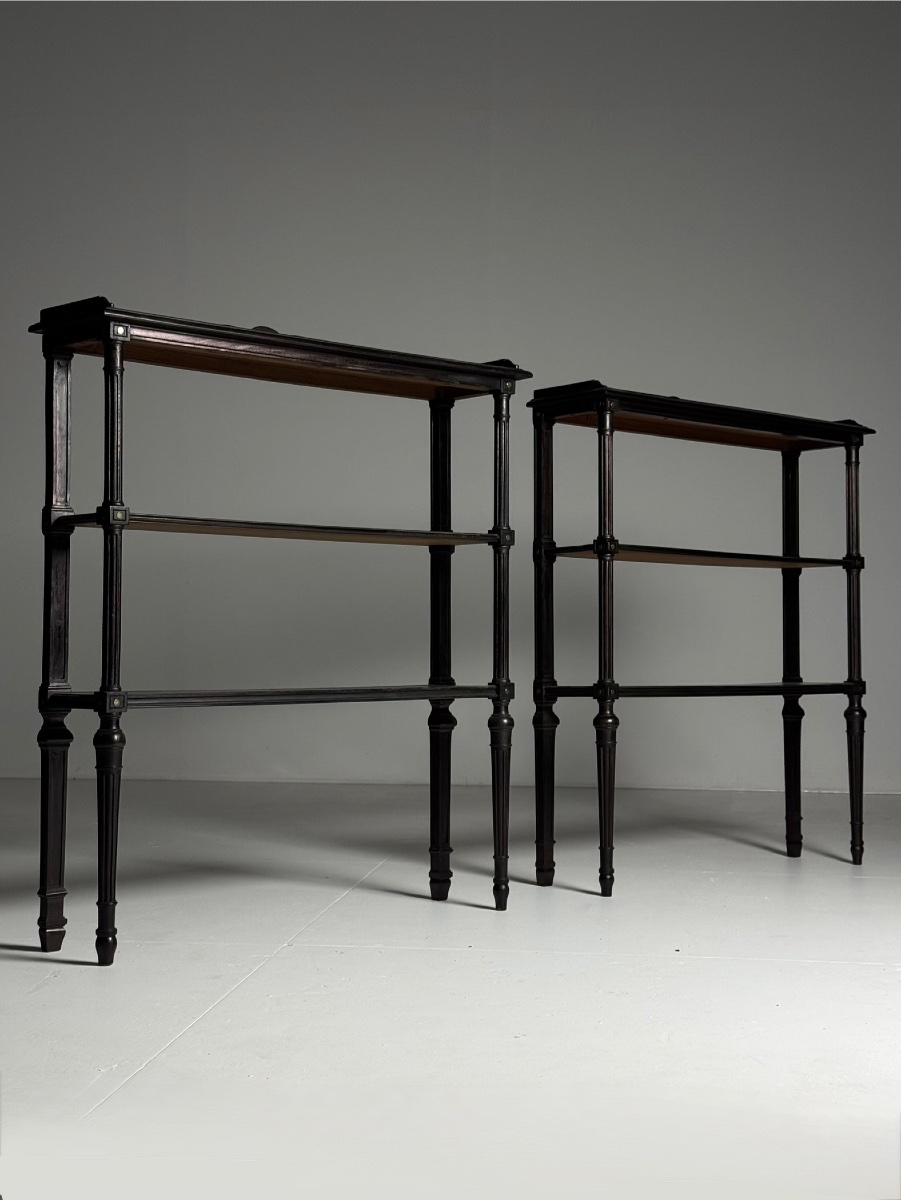 Lot de 2 étagères de style Louis XVI