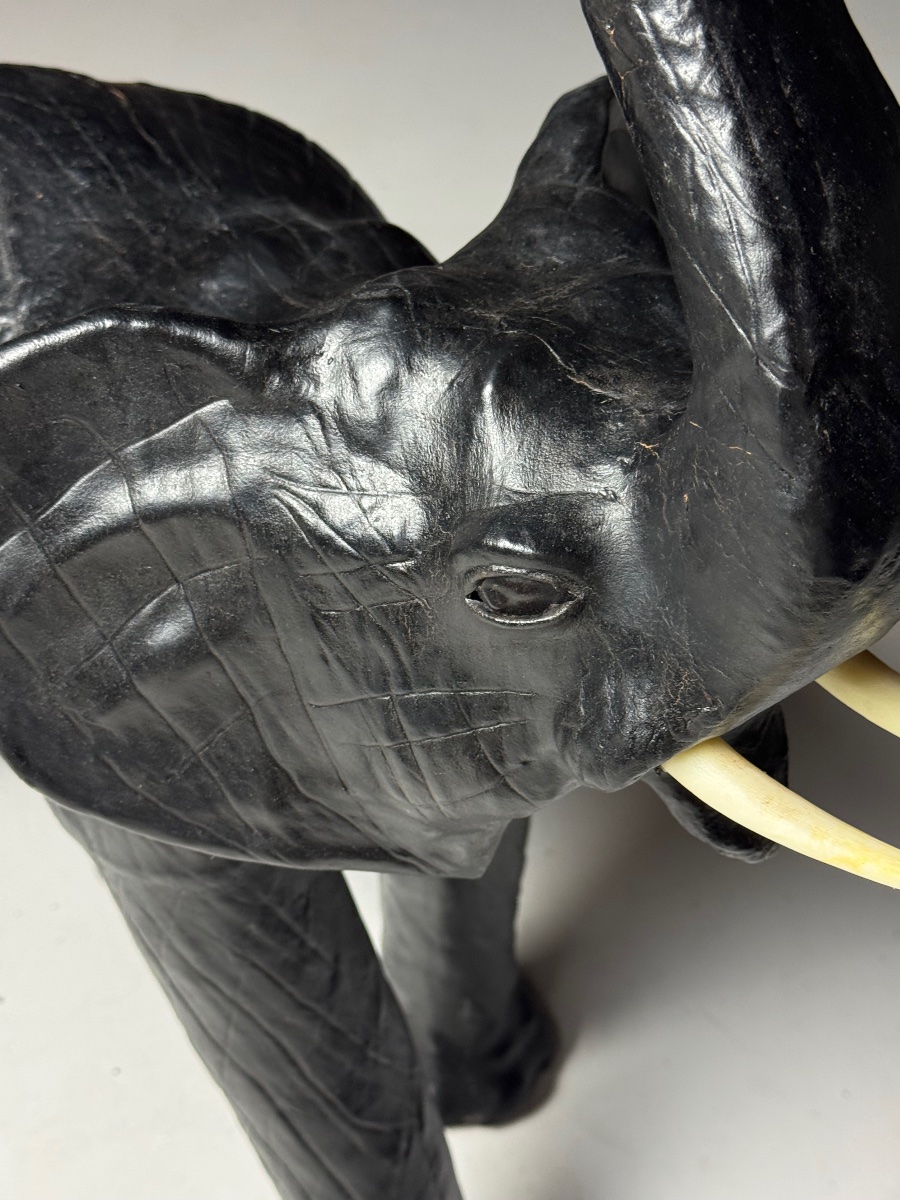 Cuir d'éléphant anglais-photo-2