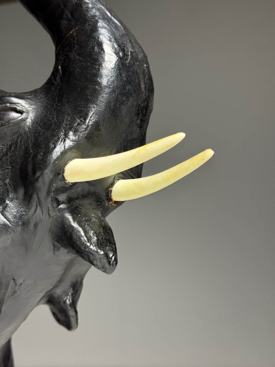 Cuir d'éléphant anglais-photo-3