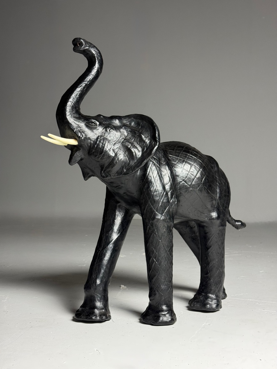 Cuir d'éléphant anglais-photo-4