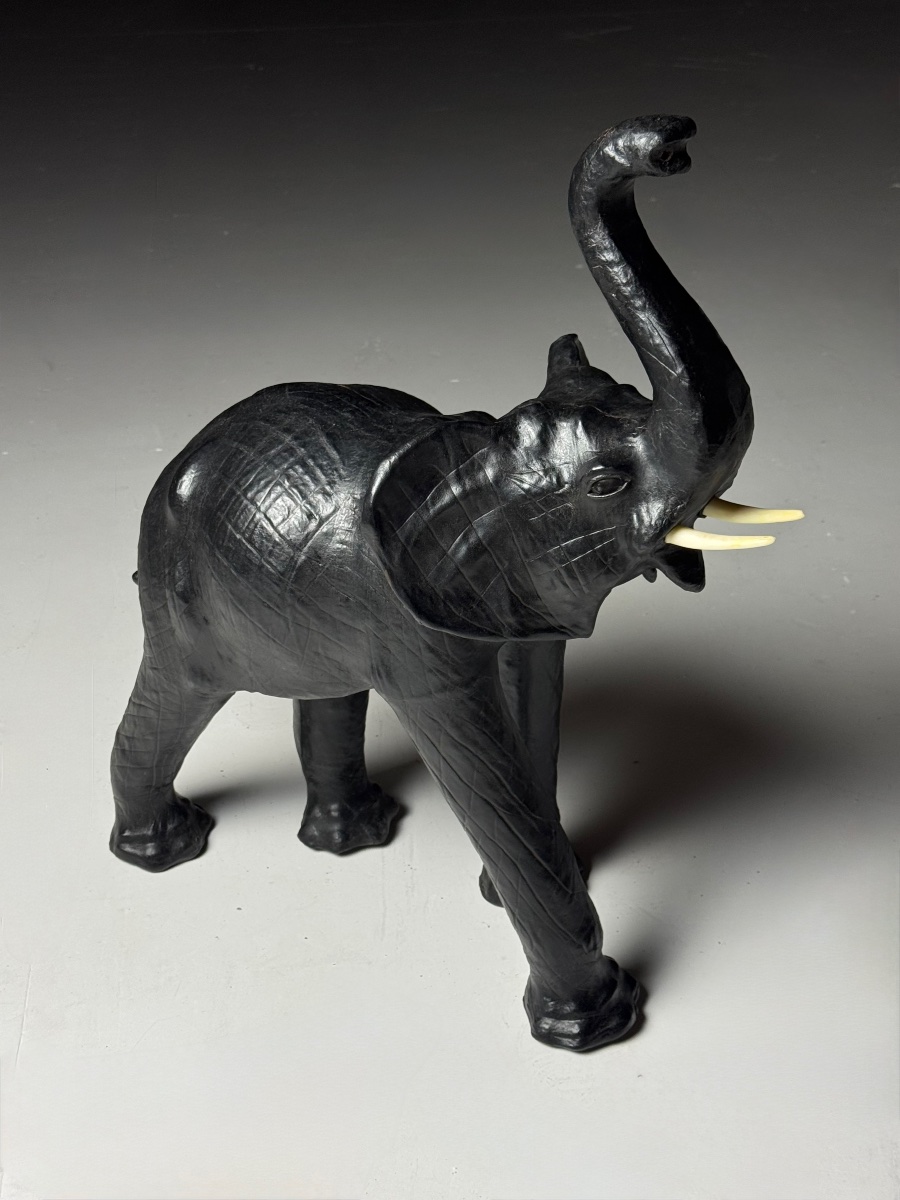 Cuir d'éléphant anglais-photo-1