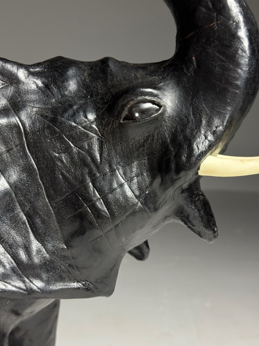 Cuir d'éléphant anglais-photo-3