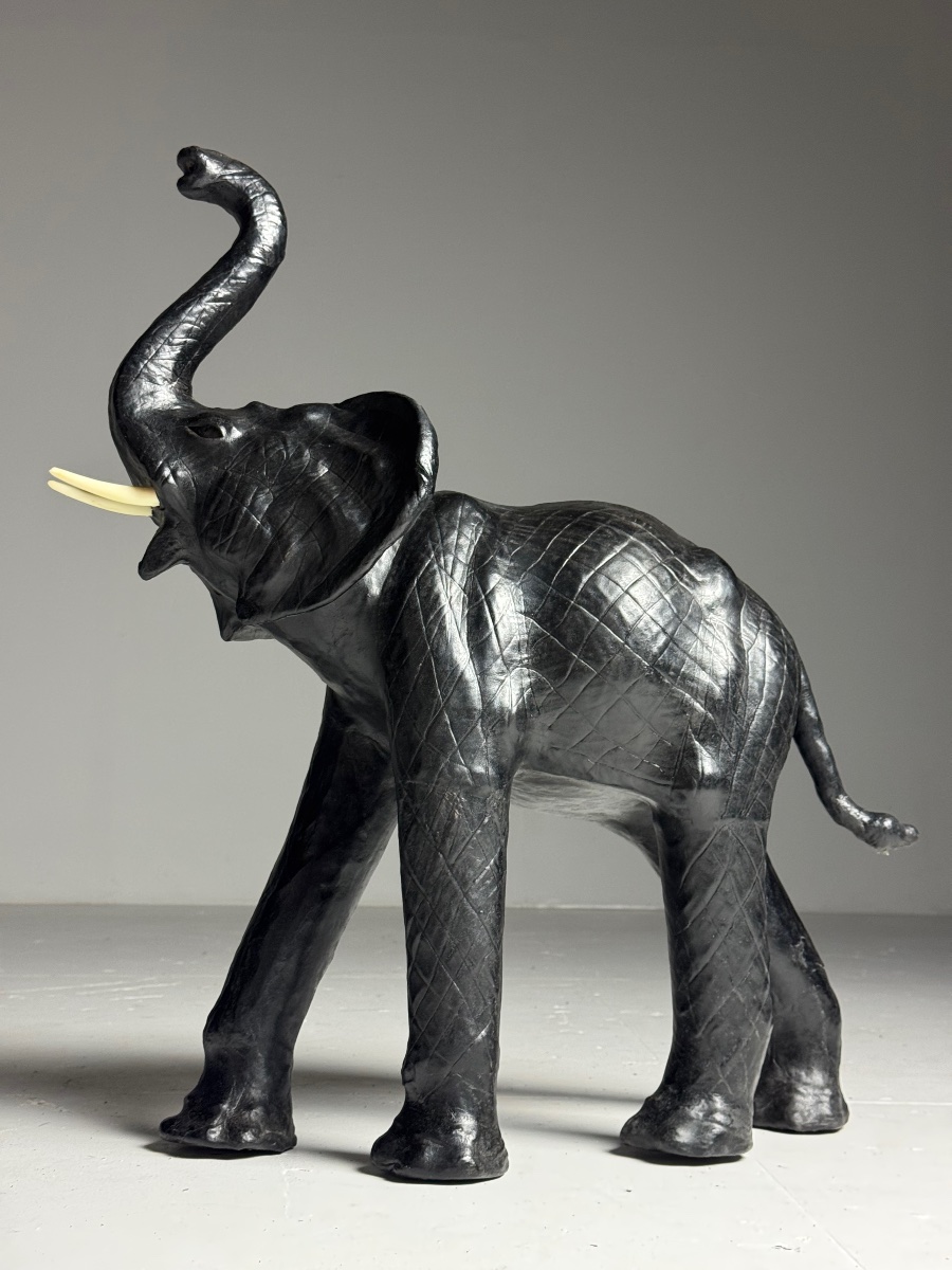 Cuir d'éléphant anglais-photo-6