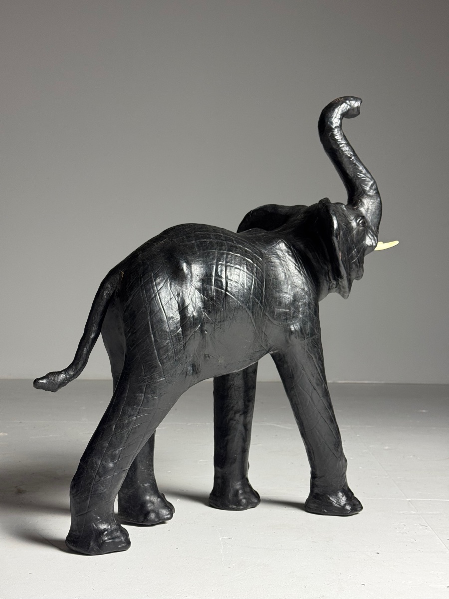 Cuir d'éléphant anglais-photo-7