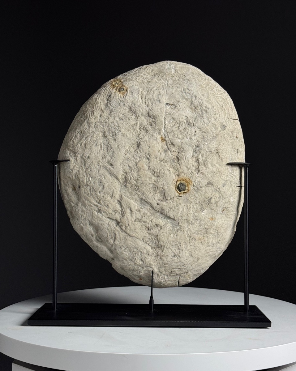 Septarian Nodule On A Custom-made Base-photo-2
