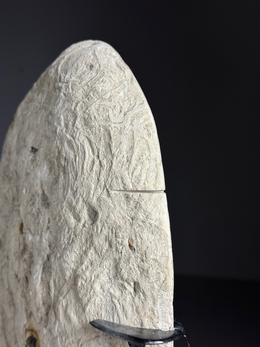 Septarian Nodule On A Custom-made Base-photo-3