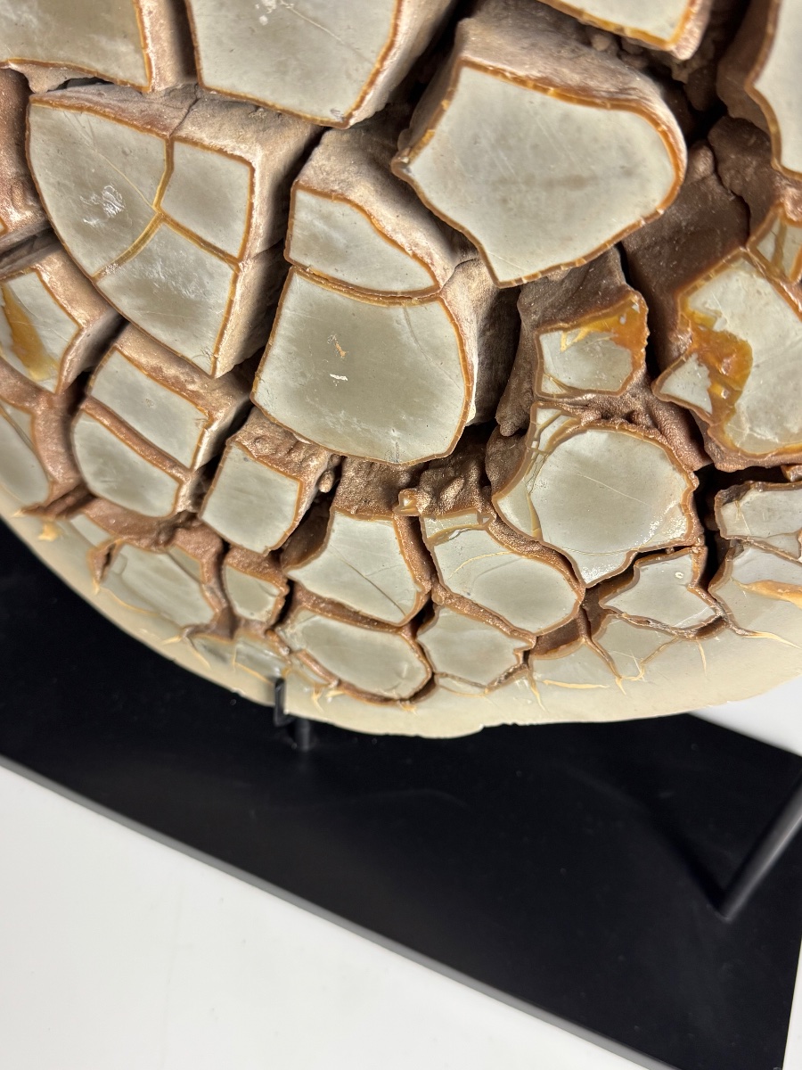 Septarian Nodule On A Custom-made Base-photo-1